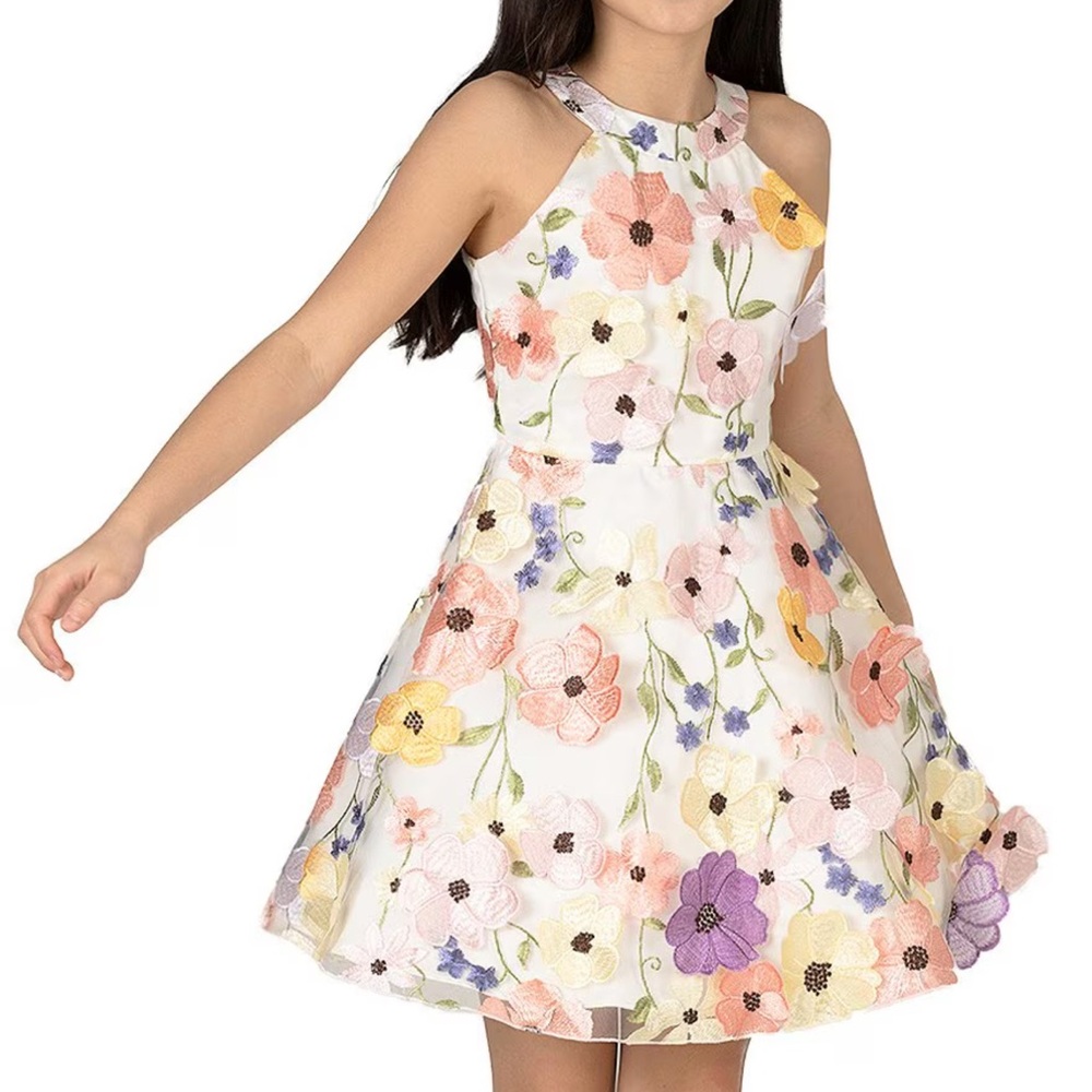 NWT Girls Sleeveless Floral-Embroidered Mesh Fit-And-Flare Dress Size 10